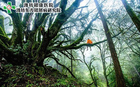 濰坊銀屑病醫(yī)院提醒您性格影響銀屑病的發(fā)生